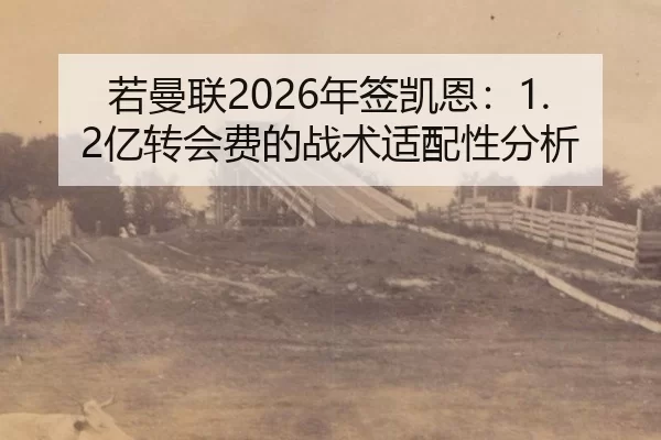 若曼联2026年签凯恩：1.2亿转会费的战术适配性分析